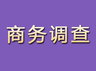 杭锦旗商务调查